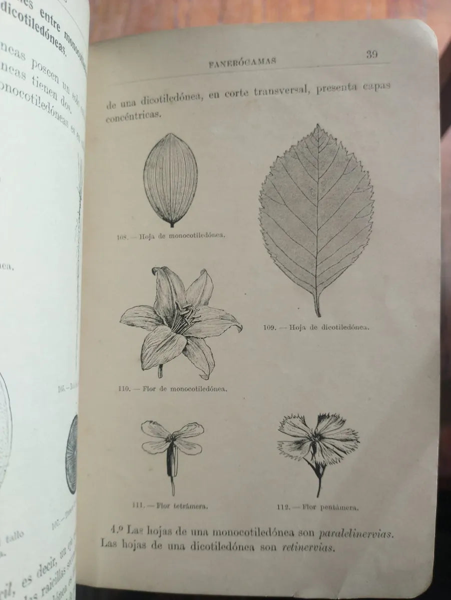 Libro usado en venta: Constitucion de la Nacion Argentina; realizamos envios a todo el mundo.2