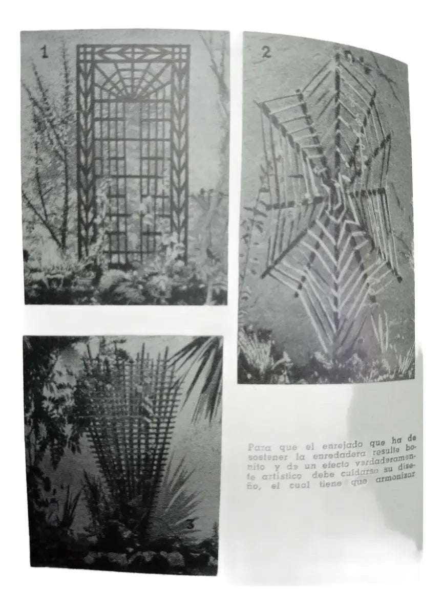 Libro usado en venta: Cercos vivos y enredaderas de W. Martinez Pintos; editorial Atlantida impreso en 1994 realizamos envios a todo el mundo.3