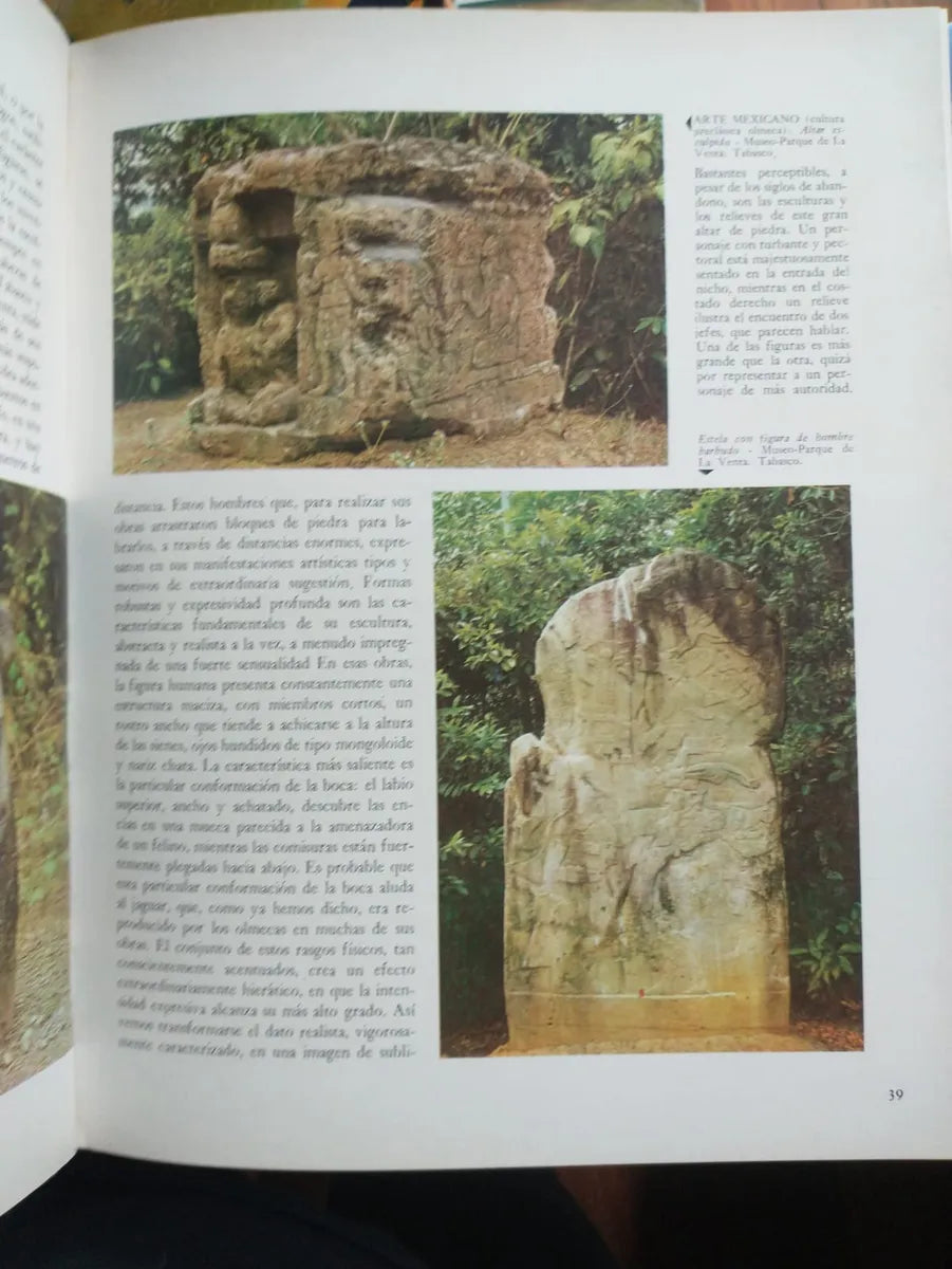 Libro usado en venta: Enciclopedia de las artes de todos los pueblos en todos los tiempos de Arte / Rama; editorial Codex impreso en 1965.3