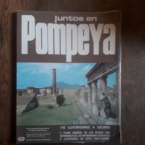 Libro usado en venta: Juntos en Pompeya; editorial Falanga Edizioni Pompeiane impreso en 1981 realizamos envios a todo el mundo.1