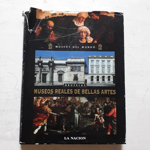 Libro usado en venta: Museos reales de Bellas Artes - Bruselas; editorial Planeta DeAgostini impreso en 2006 realizamos envios a todo el mundo.1