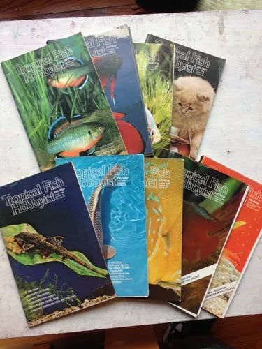 Libro usado en venta: Tropical fish hobbyist Magazine (A?o 1980) de Herbert R. Axelrod; editorial T. F. H. impreso en 1980 envios a todo el mundo.1