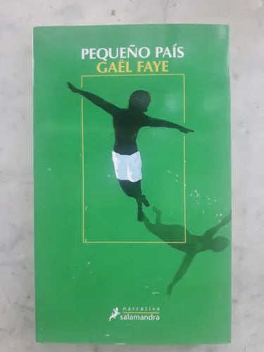 Libro usado en venta: Peque?o Pais de Gael Faye; editorial Salamandra impreso en 2018 realizamos envios a todo el mundo.1