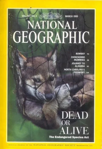 Libro usado en venta: Marzo - 1995 de National Geographic; editorial National Geographic Society impreso en 1995 realizamos envios a todo el mundo.1