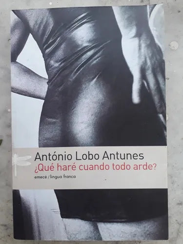 Libro usado en venta: ?Que hare cuando todo arde? de Antonio Lobo Antunes; editorial Emece impreso en 2004 realizamos envios a todo el mundo.1