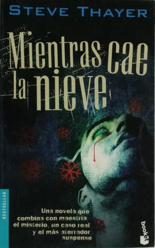 Libro usado en venta: Mientras cae la nieve de Steve Thayer; editorial Atlántida impreso en 2002 realizamos envios a todo el mundo.1