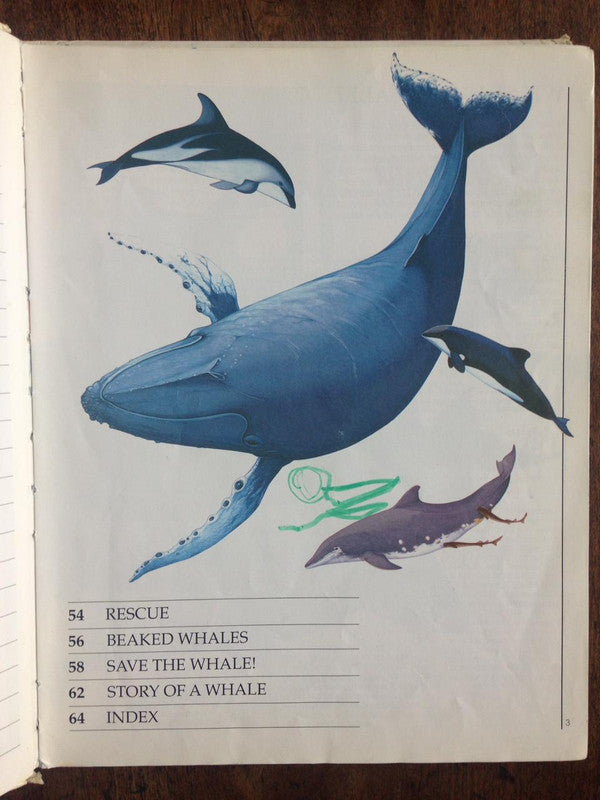 Libro usado en venta: El Arca del nuevo siglo 69-70 de Revista; impreso en 2013 realizamos envios a todo el mundo.2