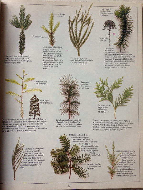 Libro usado en venta: Tomo 3: Los insectos - El arbol de Biblioteca visual Altea; editorial AGEA impreso en 1993 realizamos envios a todo el mundo.2