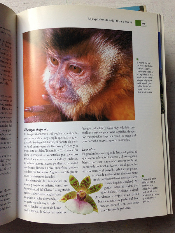 Libro usado en venta: Enciclopedia de la Argentina (2 Tomos); editorial Oceano impreso en 1998 realizamos envios a todo el mundo.4