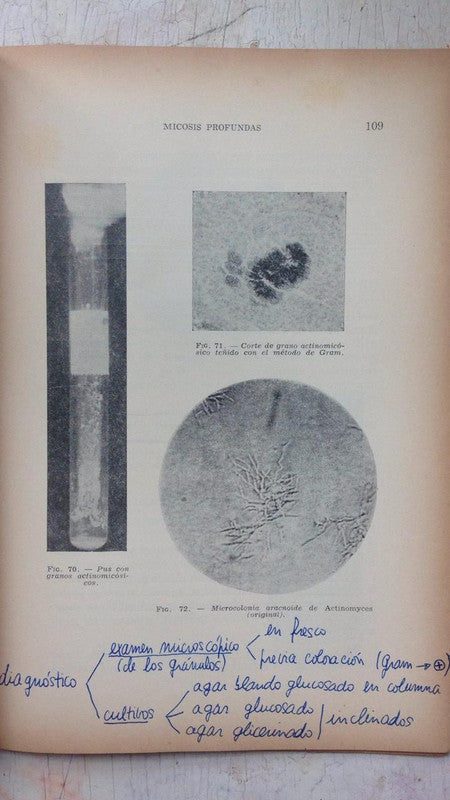 Libro usado en venta: Terapeutica pediatrica de Gellis - Kagan; editorial Panamericana impreso en 1983 realizamos envios a todo el mundo.2