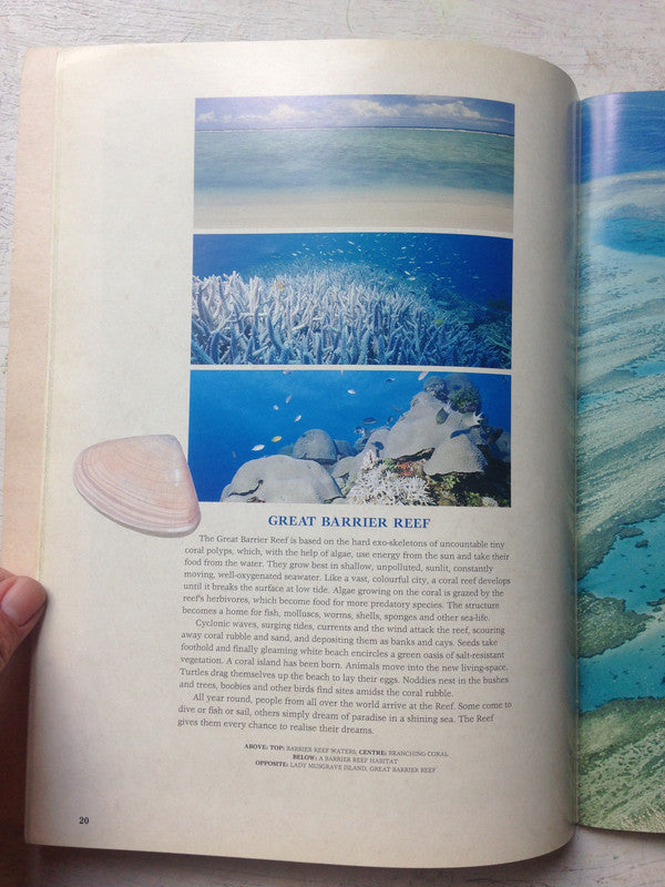 Libro usado en venta: La noche de los cristales y el nazismo en la Argentina de Todo es historia; impreso en 1998 realizamos envios a todo el mundo.2