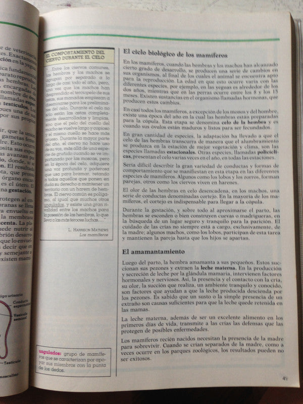 Libro usado en venta: Tabla de logaritmos con cinco decimales de P. Houel; editorial Glem impreso en 1944 realizamos envios a todo el mundo.2