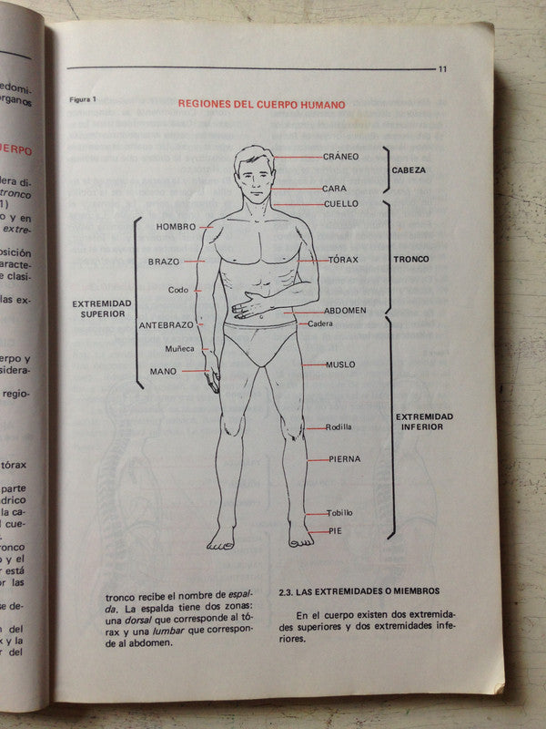Libro usado en venta: Biologia 4 de Pedro Zarur; editorial Plus Ultra impreso en 1997 realizamos envios a todo el mundo.3