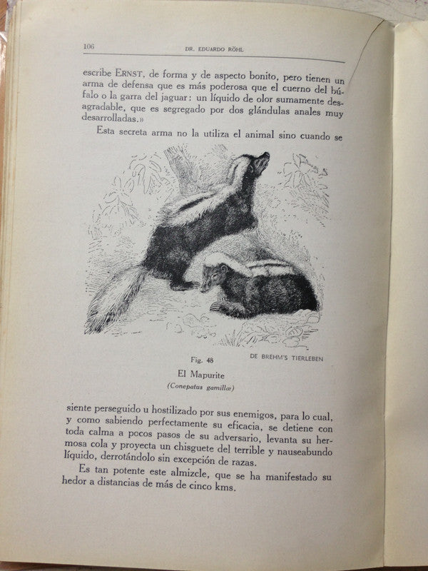 Libro usado en venta: Fauna descriptiva de Venezuela (vertebrados) de Eduardo Rohl; editorial Nuevas Graficas impreso en 1959 envios a todo el mundo.2