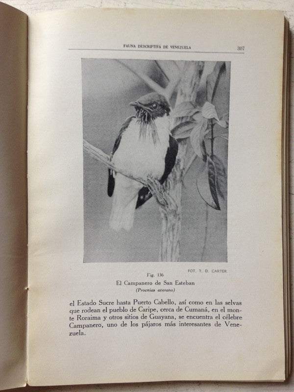 Libro usado en venta: Fauna descriptiva de Venezuela (vertebrados) de Eduardo Rohl; editorial Nuevas Graficas impreso en 1959 envios a todo el mundo.3