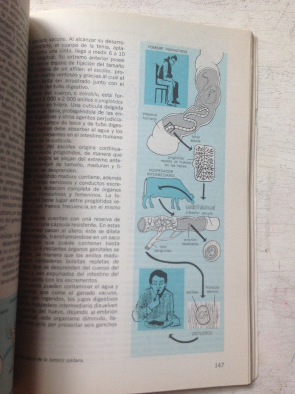 Libro usado en venta: Biologia 1 - Los seres vivos y su ambiente de Juan L. Botto - Carmen de Perez Calvo; editorial Kapelusz impreso en 1980.2