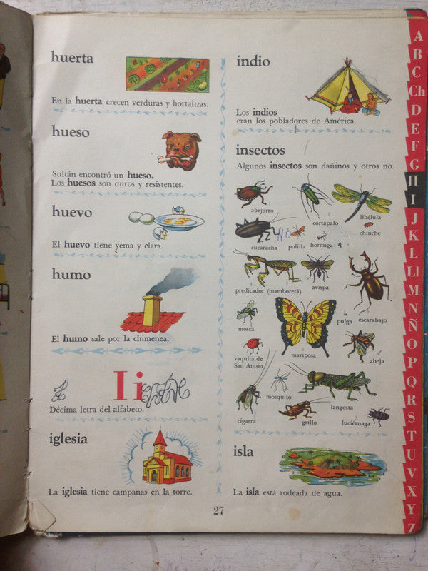 Libro usado en venta: Mi primer diccionario (519 palabras - 852 dibujos en colores) de Julia Daroqui; editorial Sigmar impreso en 1953.3