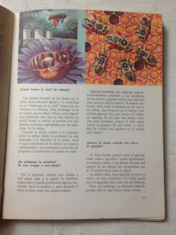 Libro usado en venta: Preguntas y respuestas sobre la naturaleza de John R. Saunders; editorial Sigmar impreso en 1966 envios a todo el mundo.3