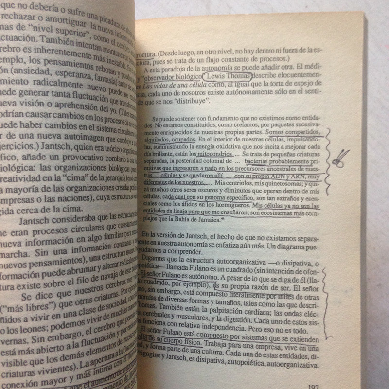 Libro usado en venta: A traves del maravilloso espejo del universo de John Briggs - David Peat; editorial Gedisa impreso en 1996.4