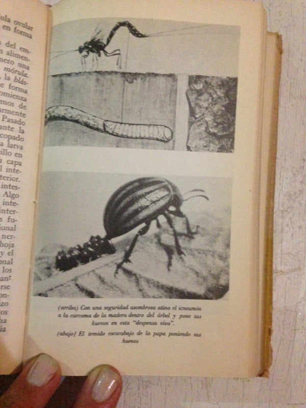 Libro usado en venta: La vida inverosimil de Heinz Woltereck; editorial Fondo de Cultura Economica impreso en 1967 realizamos envios a todo el mundo.3