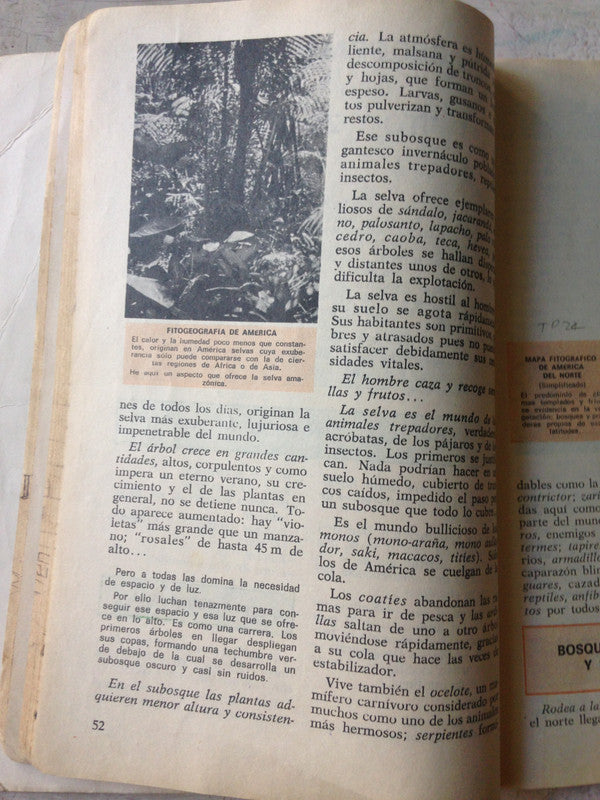 Libro usado en venta: Geografia: America y Republica Argentina 3? A?o de Floreal Rossi; editorial Stella impreso en 1984 envios a todo el mundo.2