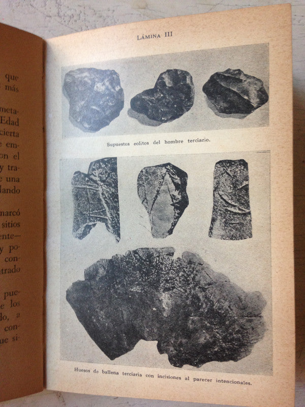 Libro usado en venta: A traves de la prehistoria de Enrique Perez Mariluz; editorial Atlantida impreso en 1952 realizamos envios a todo el mundo.2