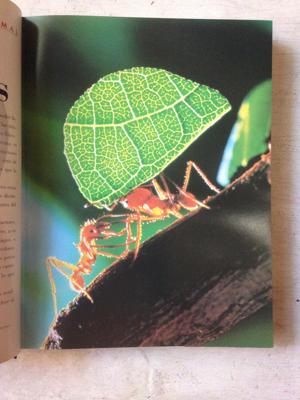 Libro usado en venta: Enciclopedia escolar (2 Tomos) trae CD de Diana Paris; editorial Planeta DeAgostini impreso en 2005 envios a todo el mundo.2