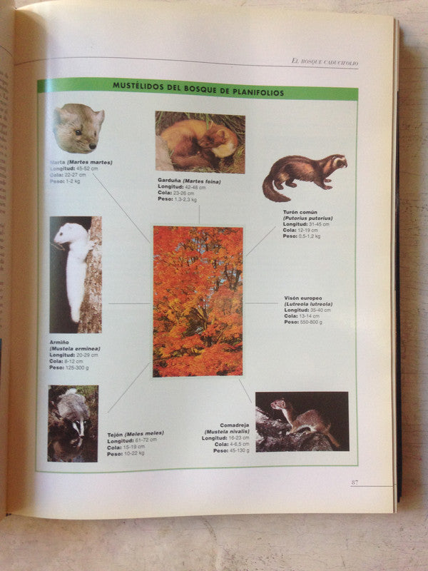 Libro usado en venta: El mundo de los animales; editorial Oceano realizamos envios a todo el mundo.4