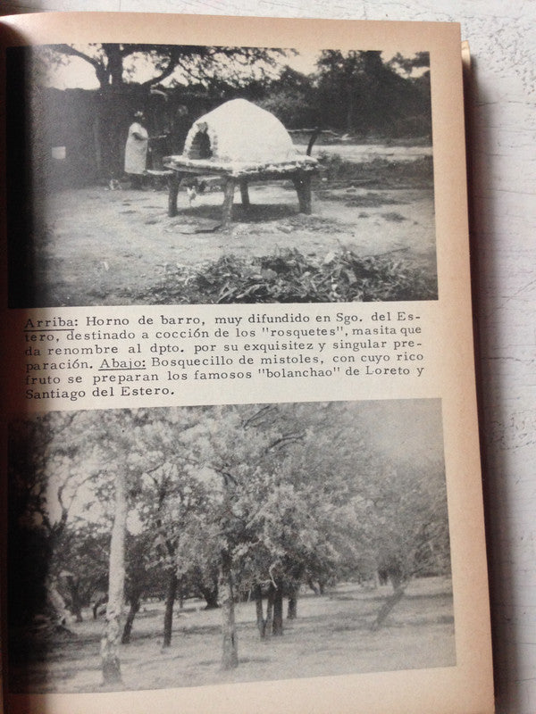 Libro usado en venta: Rasgos fundamentales de los departamentos de Santiago del Estero (2 Tomos) de Basualdo; Municipalidad de Santiago del Estero 1981.3