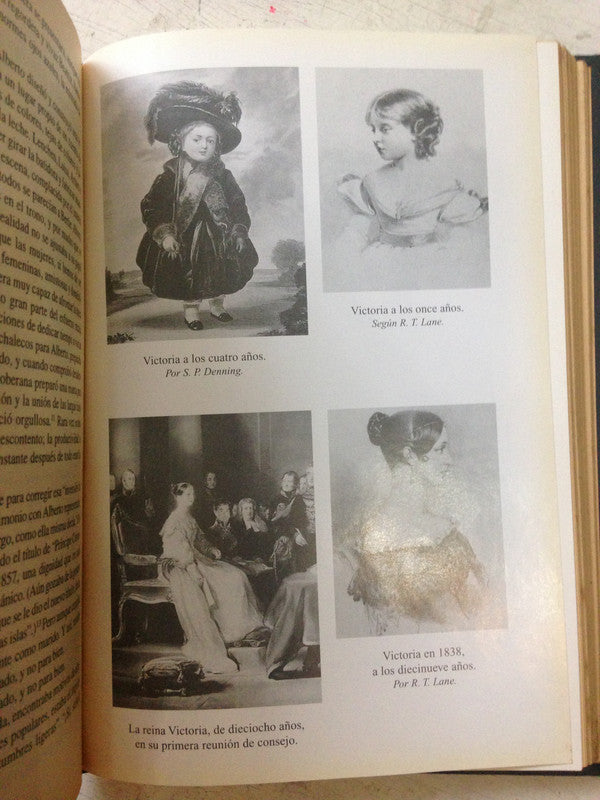 Libro usado en venta: La vida privada de la Reina Victoria de Carolly Erickson; editorial Javier Vergara impreso en 1998 envios a todo el mundo.3
