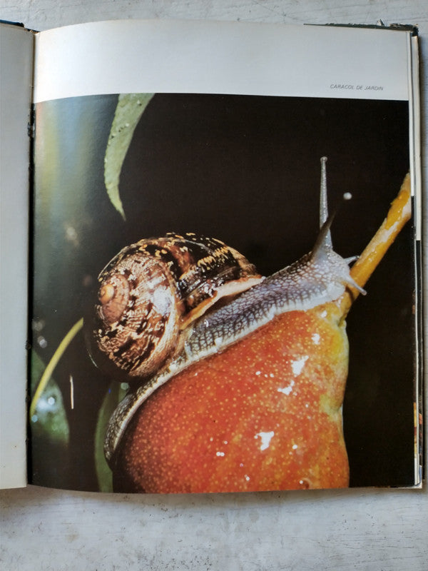 Libro usado en venta: Riqueza latente 1 de Santiago Hynes; editorial MAGyP impreso en 2013 realizamos envios a todo el mundo.2