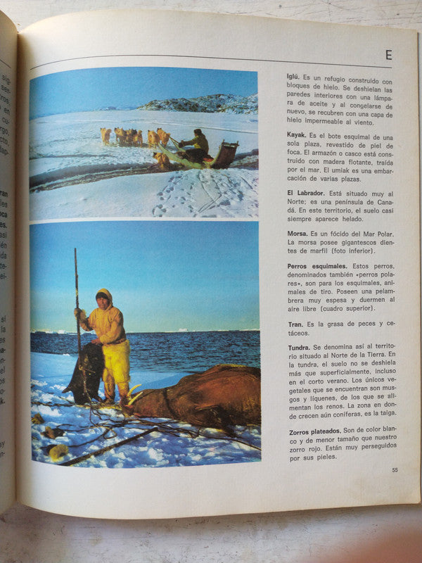 Libro usado en venta: Explicame la tierra - Enciclopedia infantil de Hans Peter Thiel; editorial Mensajero impreso en 1980 envios a todo el mundo.3