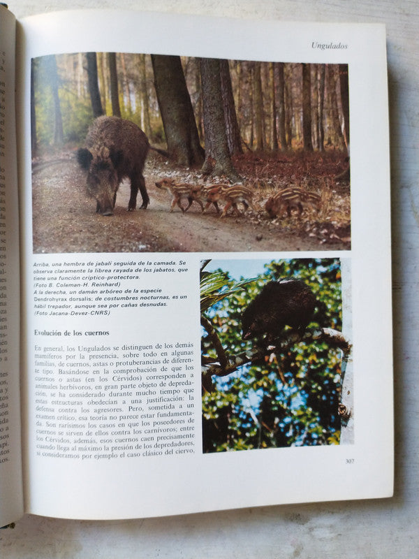 Libro usado en venta: Los animales gran enciclopedia ilustrada (2 Tomos); editorial Delta impreso en 1981 realizamos envios a todo el mundo.3