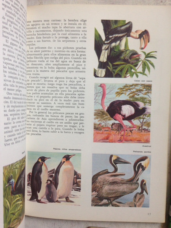 Libro usado en venta: Lecturas enciclopedicas para todos x 3 de Imágenes por el mundo; editorial Hachette impreso en 1963 envios a todo el mundo.3