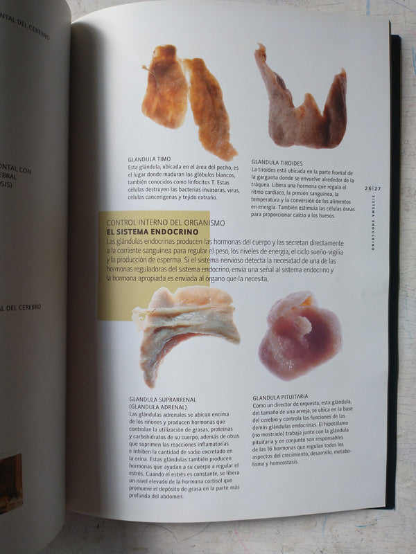 Libro usado en venta: Superadas 2 de Maitena; editorial Ediciones de la Flor impreso en 2003 realizamos envios a todo el mundo.2