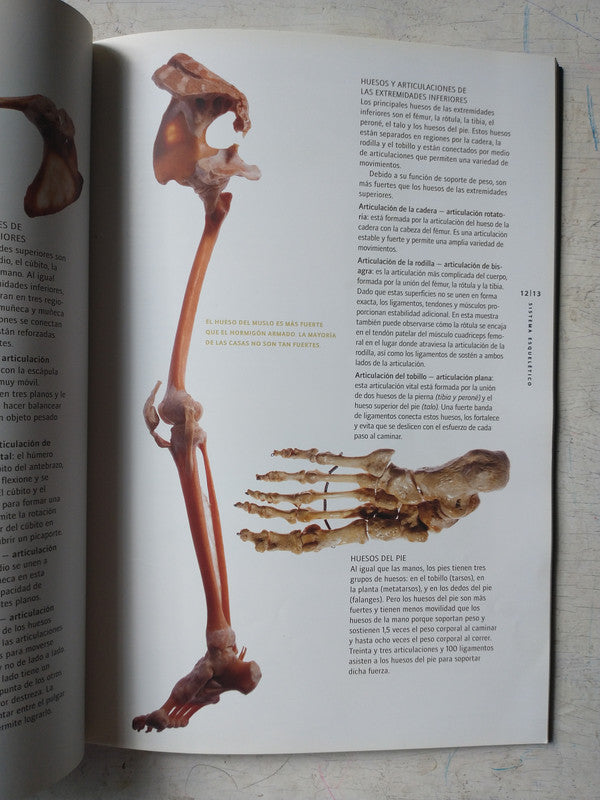 Libro usado en venta: Misterios del cuerpo humano; impreso en 2010 realizamos envios a todo el mundo.3