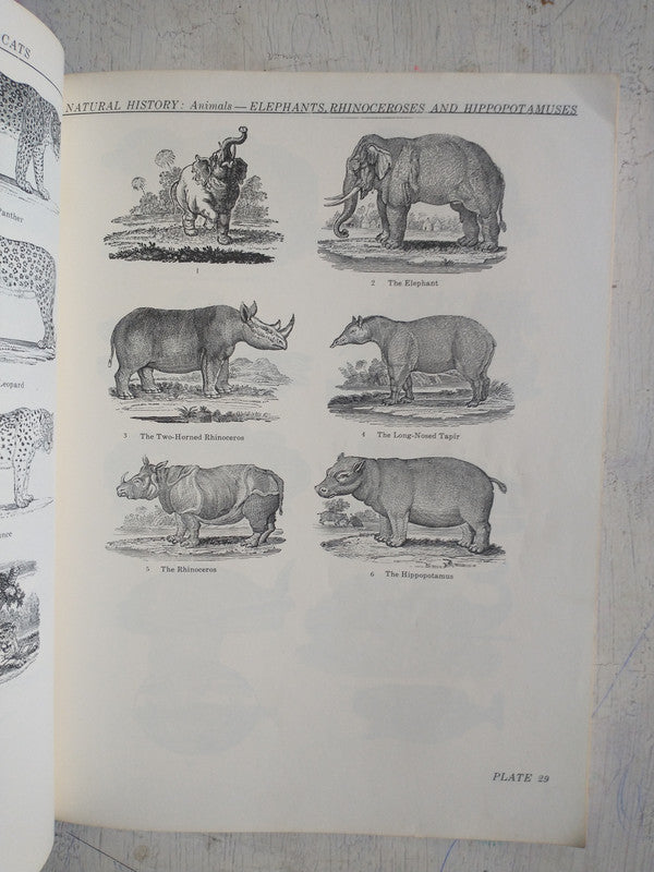 Libro usado en venta: 1800 woodcuts de Thomas Bewick; editorial Dover Publications impreso en 1962 realizamos envios a todo el mundo.3