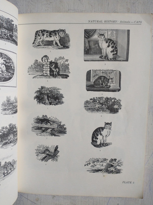 Libro usado en venta: 1800 woodcuts de Thomas Bewick; editorial Dover Publications impreso en 1962 realizamos envios a todo el mundo.4