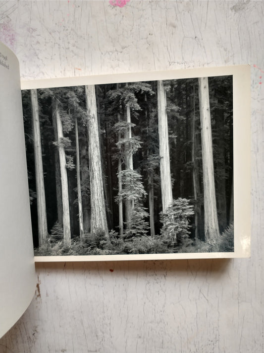 Libro usado en venta: California - A Postcard folio book de Ansel Adams; editorial Little, Brown and Company impreso en 1998 envios a todo el mundo.3