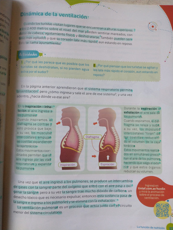 Libro usado en venta: Ciencias Naturales 4 Nacion - Mas actividades y proyectos; editorial Tinta Fresca impreso en 2018 envios a todo el mundo.3