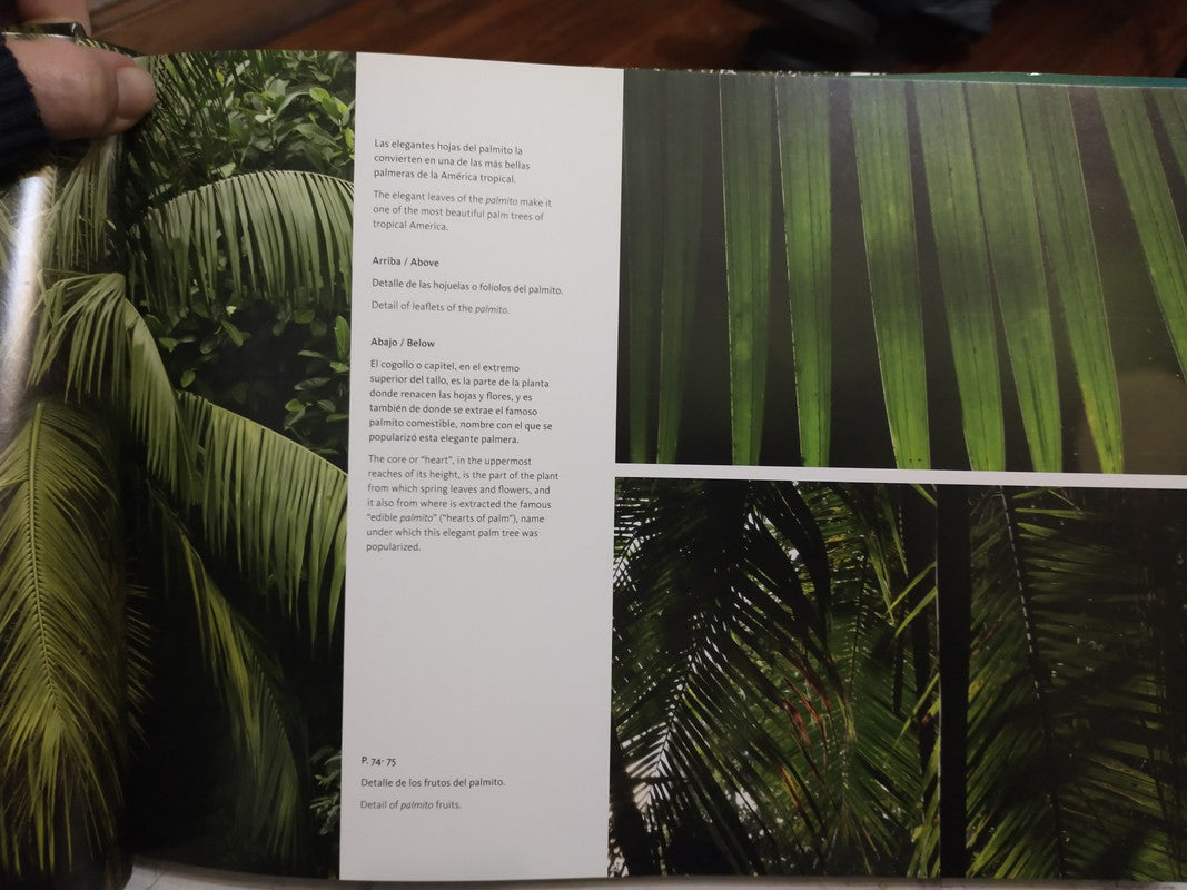 Libro usado en venta: Reserva forestal San Jorge de Emilio E. White; editorial Alto Parana impreso en 2012 realizamos envios a todo el mundo.4