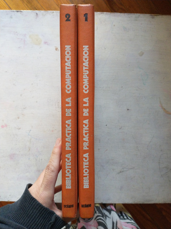 Libro usado en venta: El mural de Buenos Aires de Patricio Loizaga; editorial Fundacion BankBoston impreso en 2005 realizamos envios a todo el mundo.2