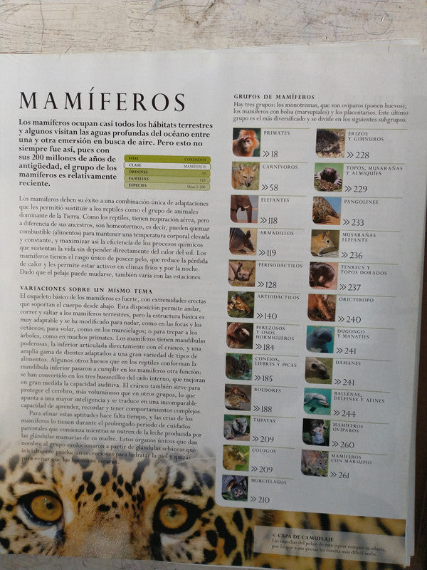 Libro usado en venta: Guia Pratica en casa; editorial La Nacion realizamos envios a todo el mundo.2