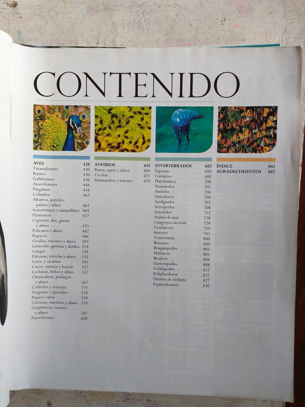 Libro usado en venta: Mundo Animal; editorial Dorling Kindersley impreso en 2014 realizamos envios a todo el mundo.4