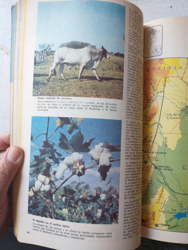 Libro usado en venta: Matematica - Curso introductorio; editorial Edigraf impreso en 1990 realizamos envios a todo el mundo.2