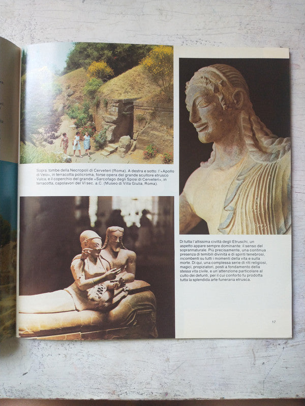 Libro usado en venta: Paso a paso cocina vegetariana; editorial Parragon impreso en 2014 realizamos envios a todo el mundo.2