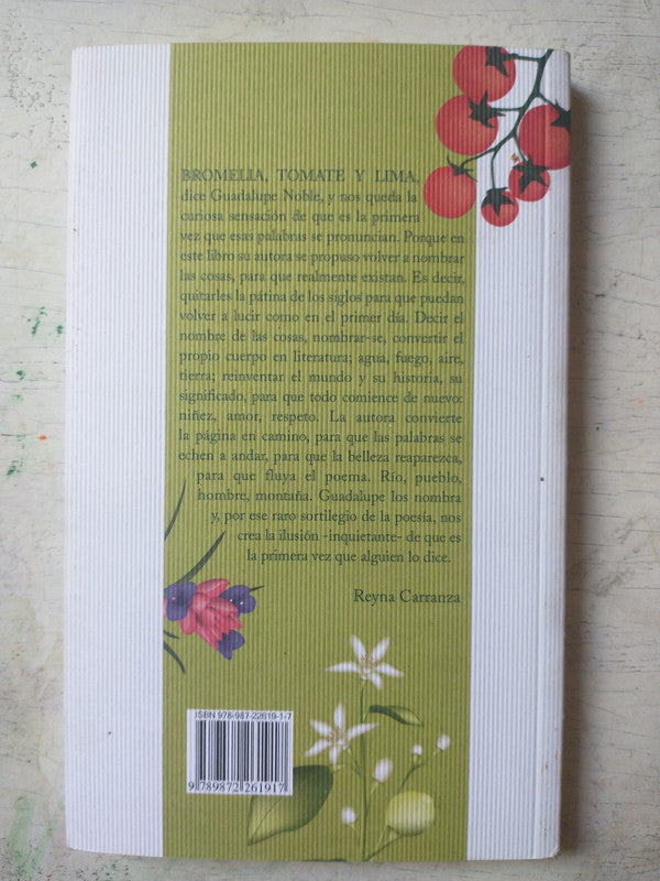 Libro usado en venta: El diablo ingles de Maria Elena Walsh; editorial Alfaguara impreso en 2005 realizamos envios a todo el mundo.2