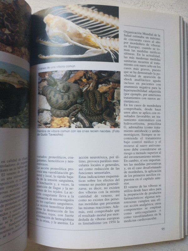 Libro usado en venta: El libro de las serpientes de todo el mundo de Vicenzo Ferri; editorial De Vecchi impreso en 1992 envios a todo el mundo.3