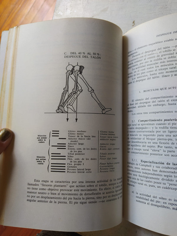 Libro usado en venta: Didactica de la geografia de Xose M. Souto Gonzalez; editorial Ediciones del Serbal impreso en 1999 envios a todo el mundo.2