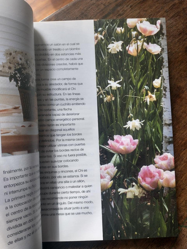 Libro usado en venta: El arte oriental del Feng Shui de Lucrecia Persico; editorial Libsa impreso en 2005 realizamos envios a todo el mundo.3